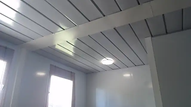 fulloferotic webcam