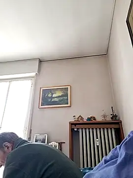 Sony28v webcam