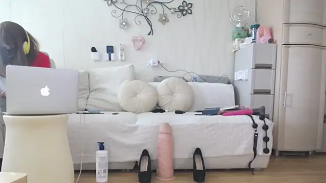Prjskoviy webcam