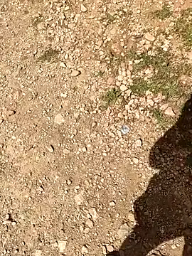 GreekGuyOutdoors webcam