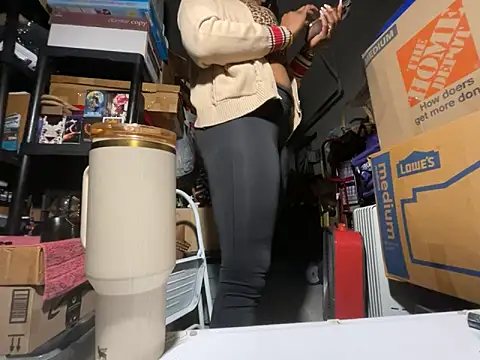wynterheat webcam