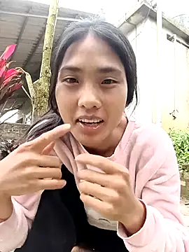Hoa-tuylip webcam