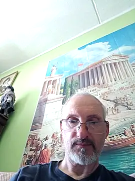 vena4 webcam