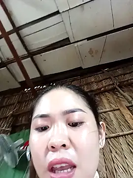 __Halen__ webcam