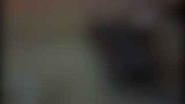 adelaide2026 webcam