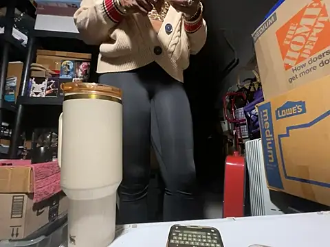 wynterheat webcam