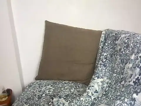 velvetvista webcam