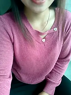 maimai1100 webcam