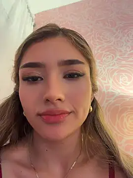 Arianavillada webcam