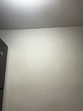Lena-Williamss webcam