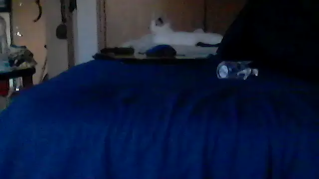 Silencio26 webcam