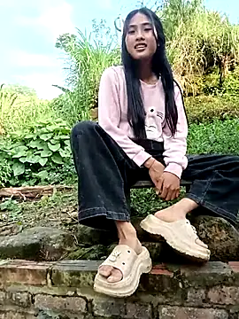 Hoa-tuylip