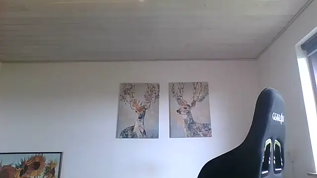 Gotta1 webcam