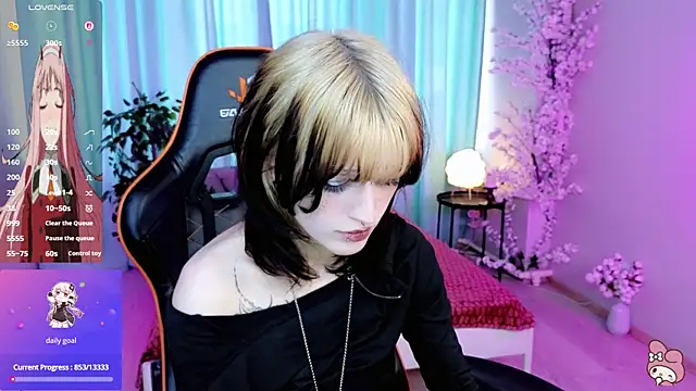 Setsunai_ webcam