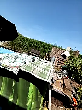 celle279 webcam