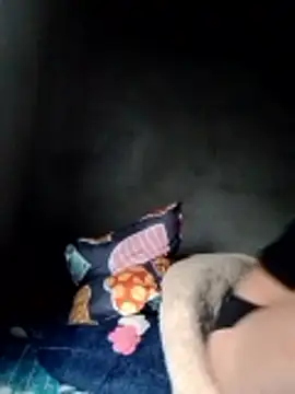Tieuthu2 webcam