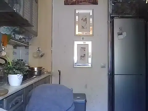 Baby-Matilda webcam