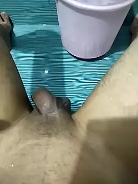 Desi_lund10