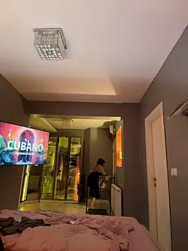 DarkDesin webcam