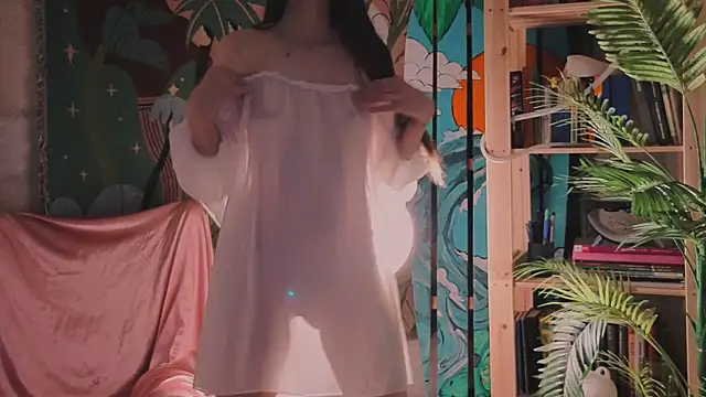 Alice-Lidel webcam