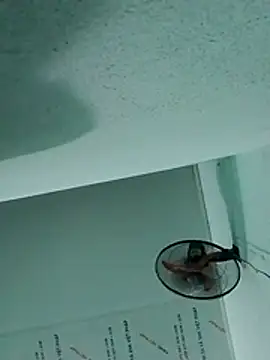 _LAN_ webcam