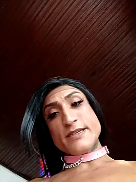 TRANS_COLOMBIA webcam