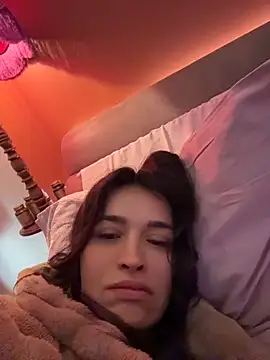DarkDesin webcam