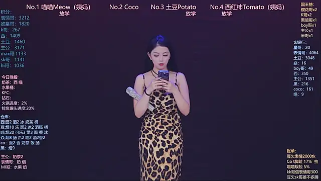 SSF-888 webcam