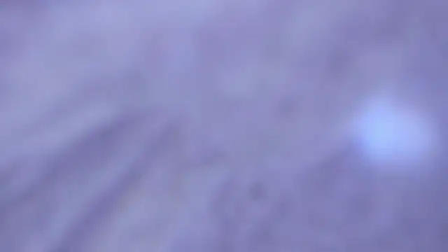 Naughty_Kat_ webcam