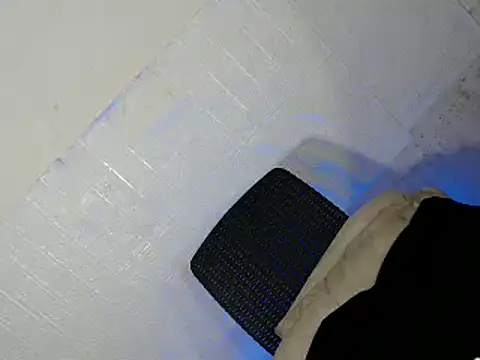 Tamira_Wilson1 webcam