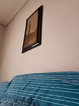 Sony28v webcam