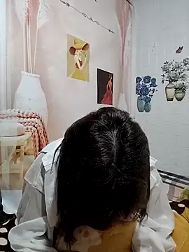 Cover-baa webcam