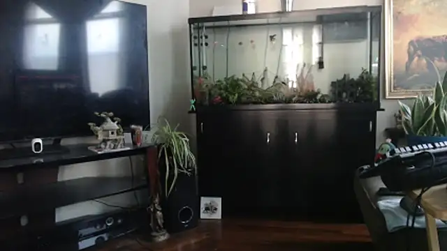 EspanolVato webcam