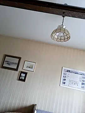 Perv10 webcam