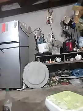 Toadc webcam