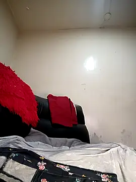 AvaChannel webcam
