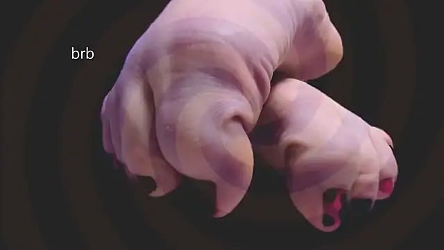 AphexQueen webcam