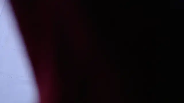 Amy66 webcam
