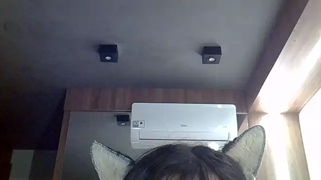 SkinnyKitten webcam