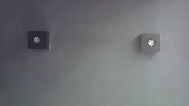 SkinnyKitten webcam