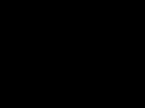 LEOMEGHA2026 webcam
