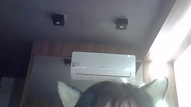 SkinnyKitten webcam