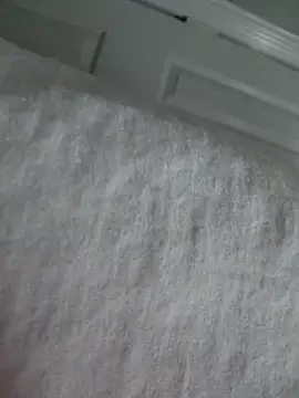 Dick4dope webcam