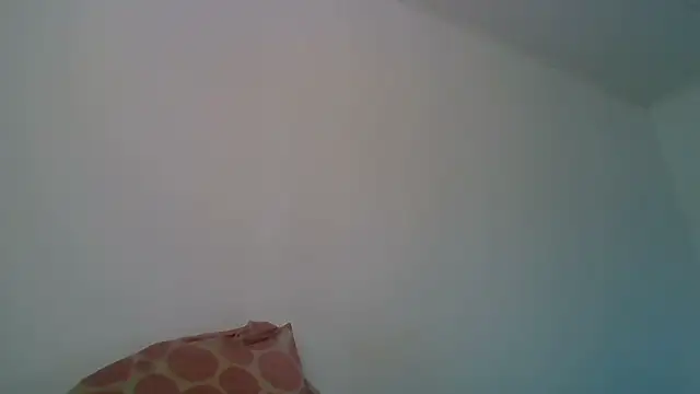 Kaappi1967 webcam