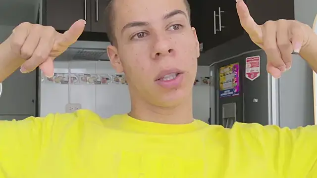 grey___27 webcam