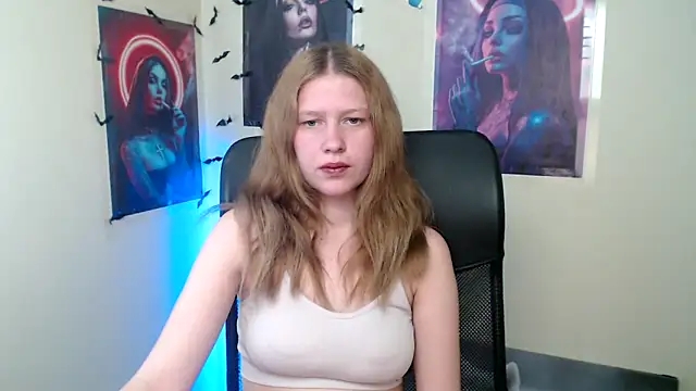 StellaCRL webcam