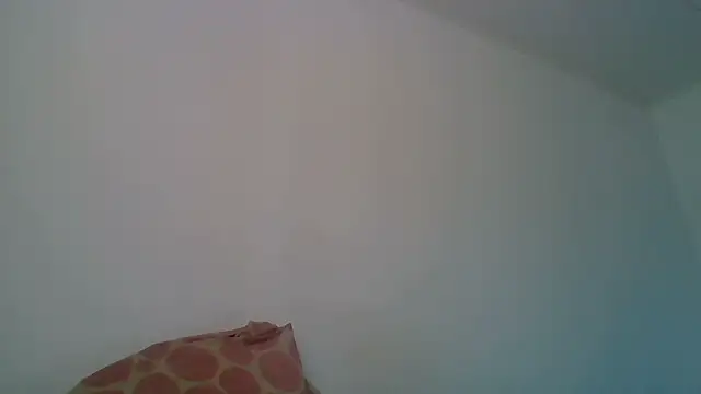 Kaappi1967 webcam