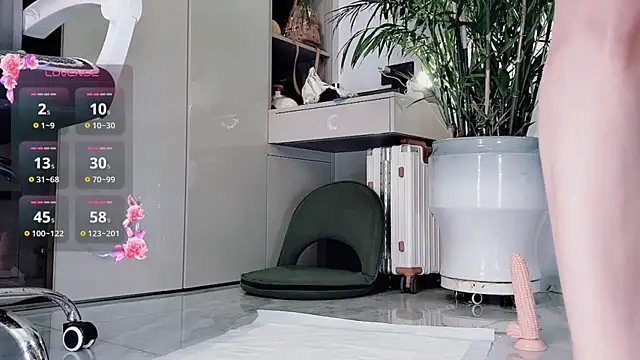 feifei-love webcam