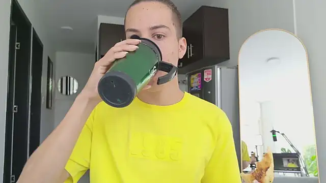grey___27 webcam