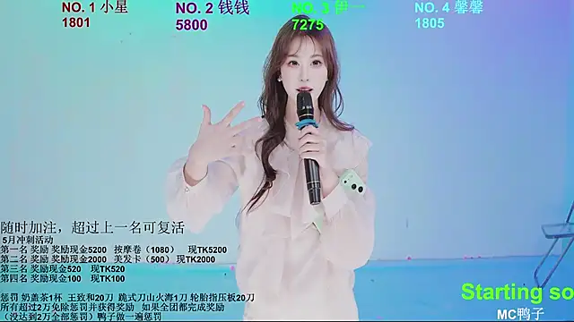 ZZ00033S webcam